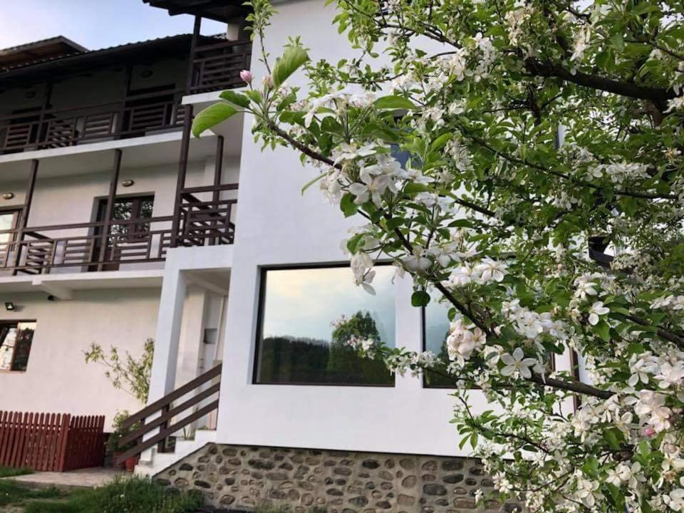 Cazare Livada-Cu-Meri Pension Căpăţîneni-Ungureni Buitenkant foto